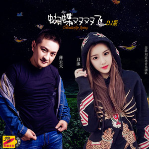 蝴蝶双双飞 (DJ何鹏 Remix伴奏)