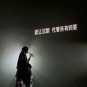 侧脸2024（0.8x片段版）