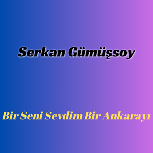 Bir Seni Sevdim Bir Ankarayı