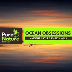 Wildwood Dawn Wetlands