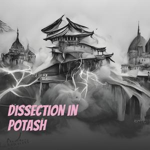 Dissection in Potash