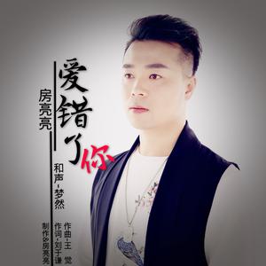 房亮亮 - 爱错了你