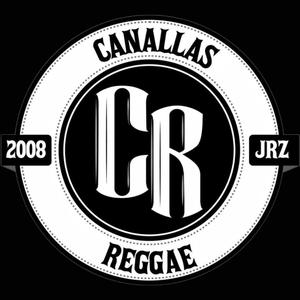 Lo que no has querido