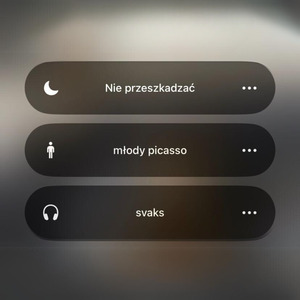 Tryb Nie Przeszkadzać