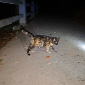 老男孩（cover筷子兄弟）