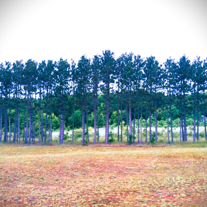 Ukraine (Instrumental)