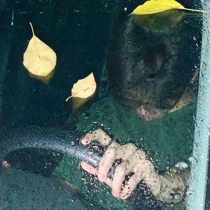 离开学校，回家的路上