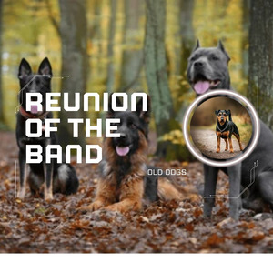 Reunion of the Band