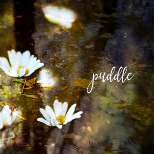 puddle