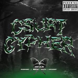 中南林科大 2021 Cypher