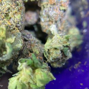 Pull up (feat. Lamonte)