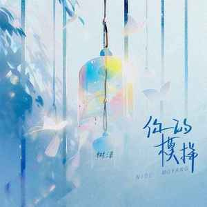 你的模样 (伴奏)