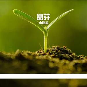 出发