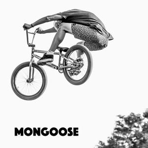 Mongoose