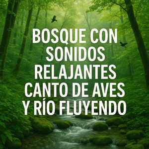 Bosque con Sonidos Relajantes, Trinos Dulces y Corriente Serena