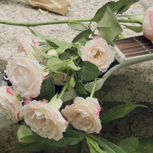 潮汐篇 Chapter Tidal