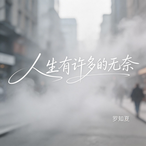 人生有许多的无奈（抒情版）