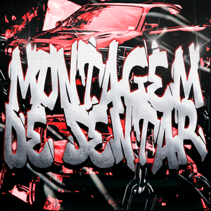 MONTAGEM DE SENTAR (SLOWED)