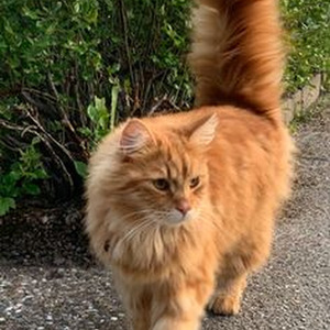 Filling Me Up (slowed)