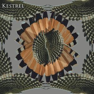 Kestrel