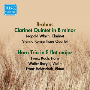 Clarinet Quintet in B Minor, Op. 115:I. Allegro