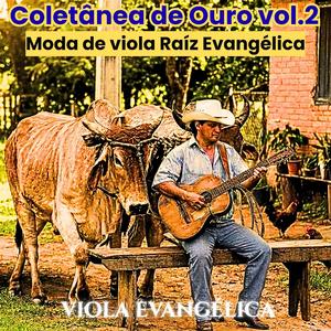 Estancou O Sangue (Viola Sertaneja Evangélica)