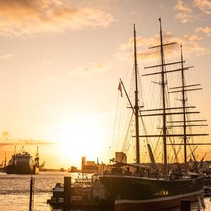 Die Lüneburger Heide