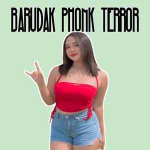 BARUDAK PHONK TERROR X MADE IN RUMANIA