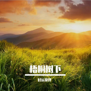 梧桐树下