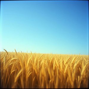 Палає серце