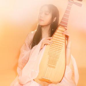 折枝花满衣-琵琶版-乐落清音