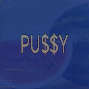 Pu$$y