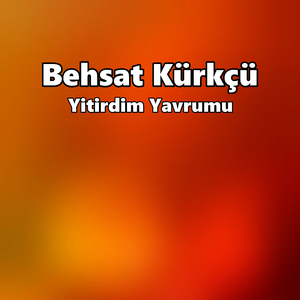 Yitirdim Yavrumu