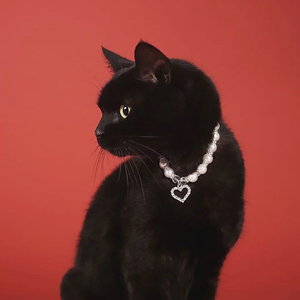 修得正果(Prod by 9Zi)