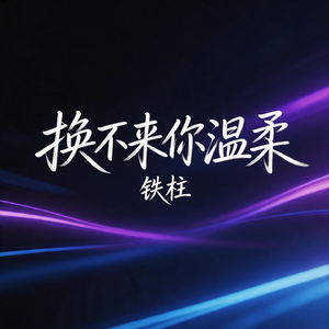 换不来你温柔