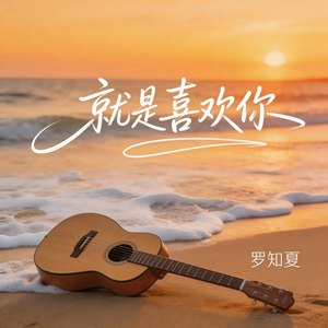 就是喜欢你（抒情版）