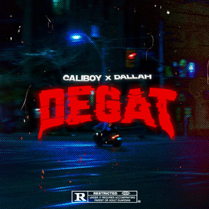 Dégât