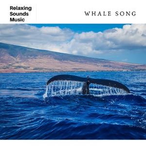 Whale Sounds