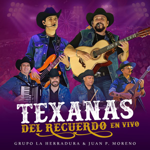 Coronándote / Serenata Huasteca / Esta Desilusión (En Vivo)