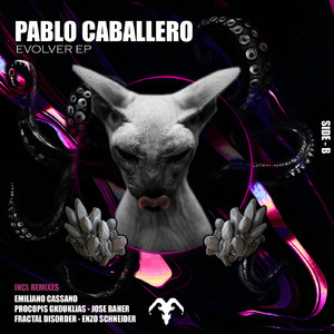 Evolver (Jose Baher, Enzo Schneider)