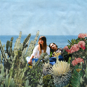 Cacti for Clothes