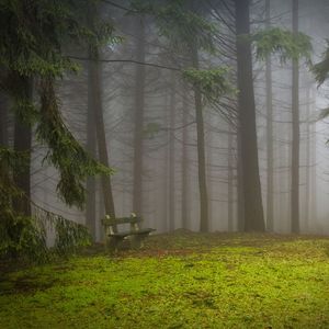 雨天 （三拍子 Jazz/R&B Lofi Type）