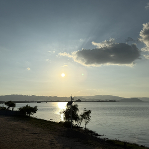 学生时代的爱情