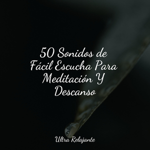 Una Probada A La Tranquilidad