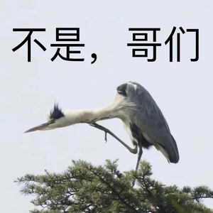 幻梦