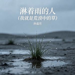 淋着雨的人(我就是荒漠中的草)