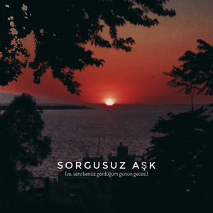 Sorgusuz Aşk (ve, seni bensiz gördüğüm günün gecesi)