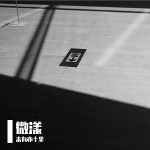 荆棘与星光