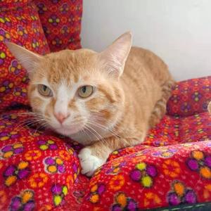 听你（prod. Kryf & MikeyBeats）