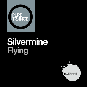 Flying (Solarstone Pure Mix)